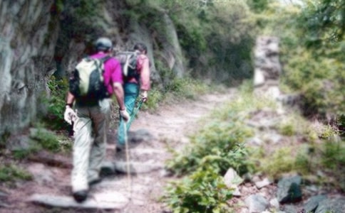 Сѧ��ɽ���������ģ�ͨ��42ƪ��